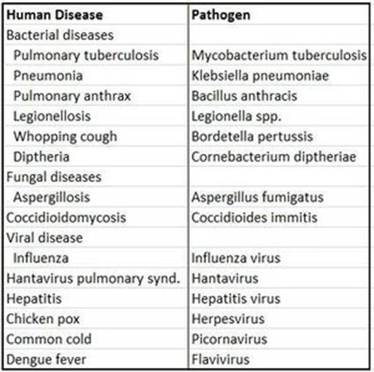 300px-Humandisease